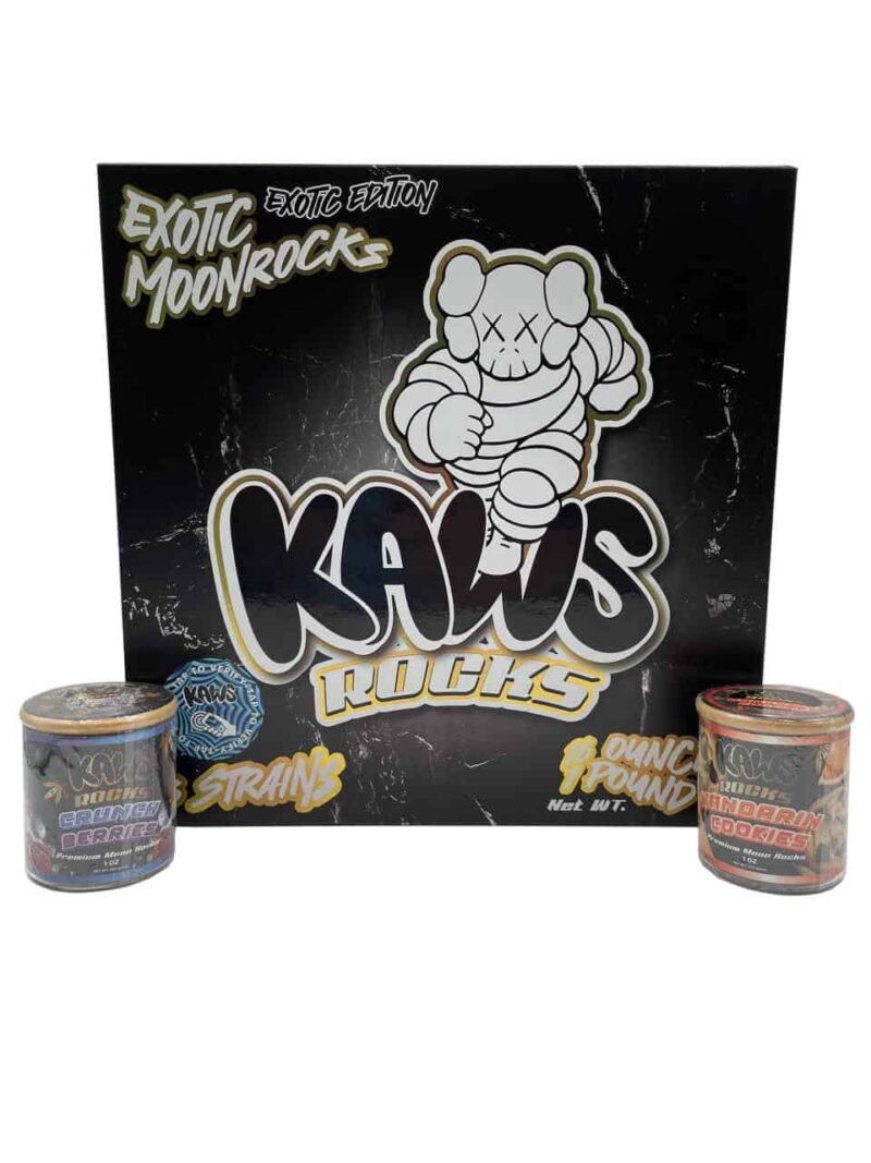BUY KAWS EXOTIC MOONROCKS