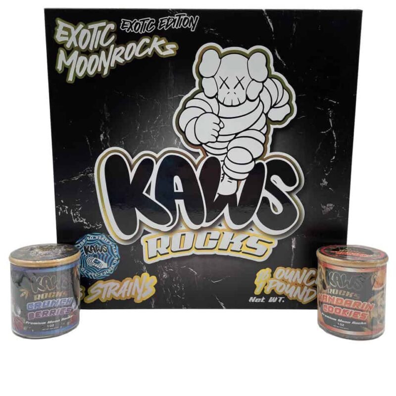 BUY KAWS EXOTIC MOONROCKS